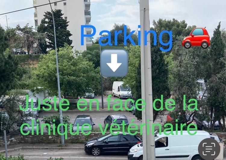 Location Chambre Avec Salle De Bain Et Partie Commune Sea View & Mountain View Renting 1 Of 3 Bedrooms With Shared Common Space 3 Bdrm Apt Not 1 Bdrm Plus Clime Ou Ac Bastia  Exteriör bild